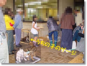 img26_dog25 このおじさんに引き取られました