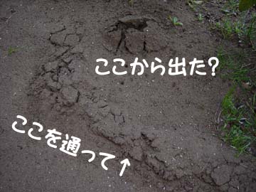 img60_gest03 お客さま専用通路でございます