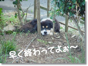 img88_file 水撒きは迷惑なんです