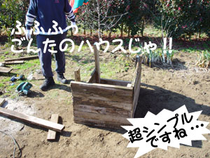 犬小屋製作中 えっ!