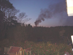 消防車に犬たちが吠えるので気がつきました