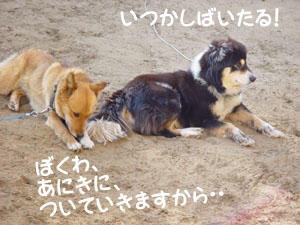 ふうたとごんたの密談は？