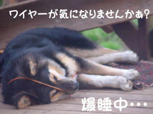 よくコレで寝られるもんだ よくコレで寝られるもんだ