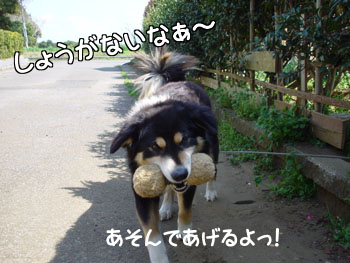 持って来いだってできまーす