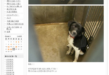 どうか飼い主さんが見てくれますように