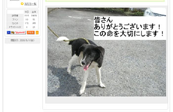 よかったネ。そして、ありがとうございました(^o^)／