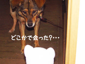 はじめて会う気がしないのは何故・・・