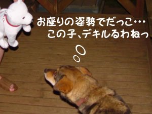 ほれっ！白くて可愛いだろっ