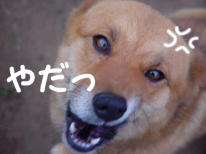 そんな顔しなくても良くなくね？