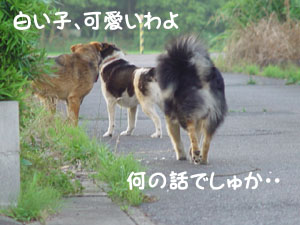 ももチンより可愛かったわよ！と囁くななちゃん