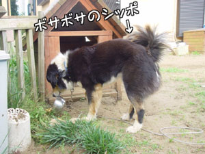 お椀運び・・今日はここで食べよっ！