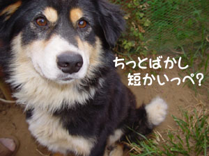 無事血を見ることなく終了！