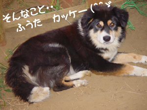 リーダーの威厳がぁぁ