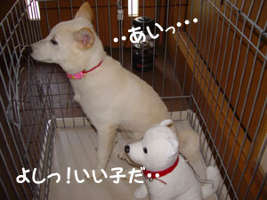 みなさんの微笑をイメージして撮りました(^^ゞ