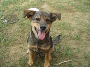 まりん。のファーストショット