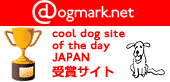 ＠dogmark.net　9月15日　受賞しました