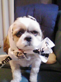 かぶりものもお茶目に似合ってるよ！