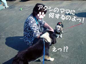 あいちゃんママにチュッまでしちゃった