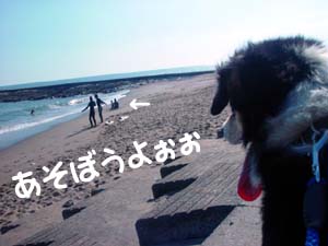 ふうたの視線の先には