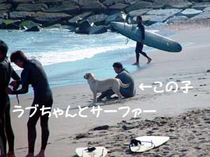 海には入らなかったのですがステキな光景でした