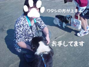 ふうたの「お手」に感動・・・