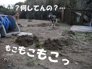 ふうたがホリホリするのはコイツのせいです ふうたがホリホリするのはコイツのせいです