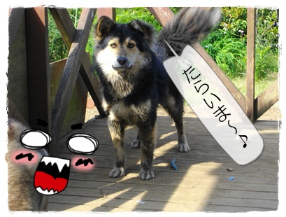 泥だらけのコロスケ 泥だらけのコロスケ