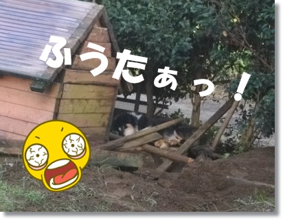 ふうたが下敷き? ふうたが下敷き?