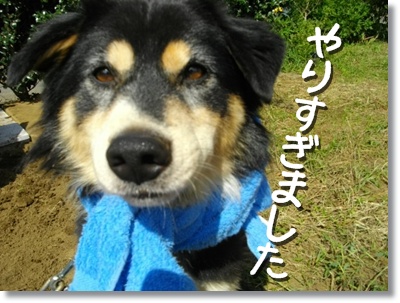 ふうたは恋の季節? ふうたは恋の季節?