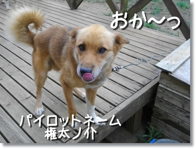 おか・・権太ノ介より おか・・権太ノ介より