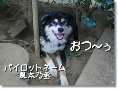 おつ~ 風太乃丞より おつ~ 風太乃丞より