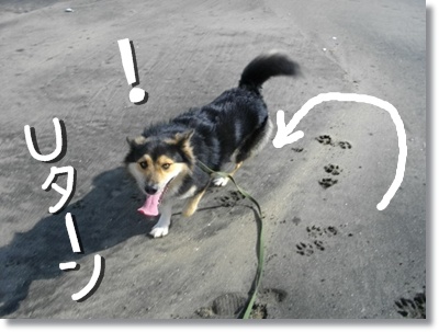 221120 波に向かってどぼーんは!?