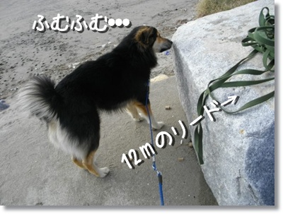 221123 チェック中・・・キミが新参者なんですヨ