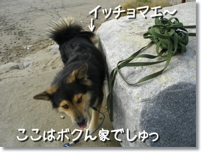 221124 残念(≧∇≦)