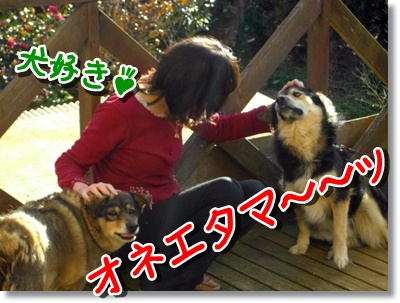 IMGP2710 両手にわんこ