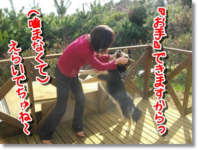 IMGP2723 お互いにハードですね^^;